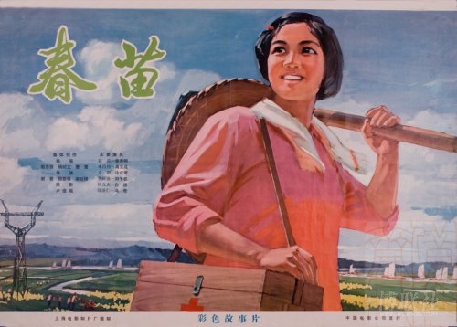 早稲田大学 Diploma